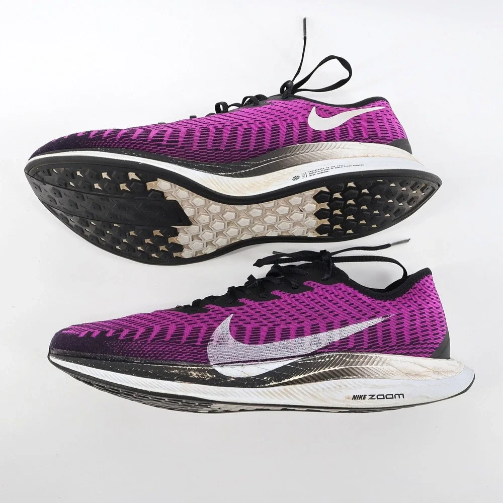 Nike Pegasus Turbo 2 Running Shoes Purple Mens 11 AT2863-500